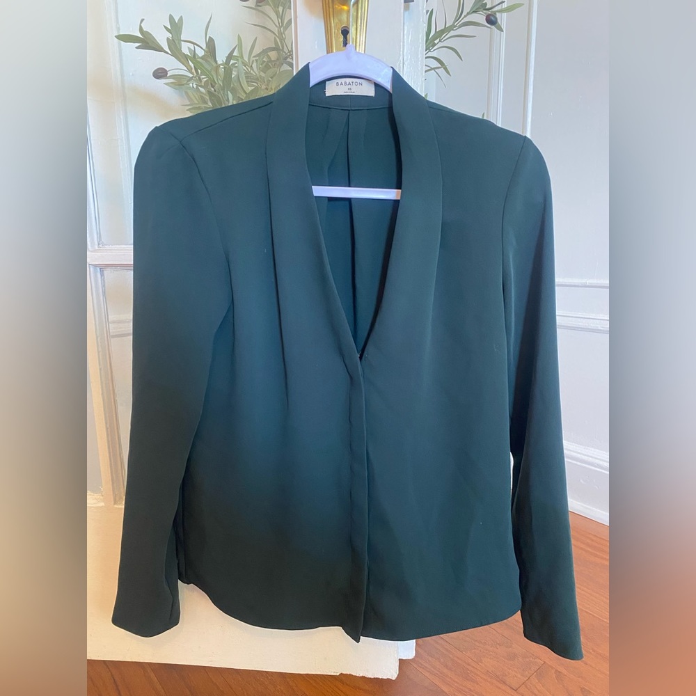 Aritzia Babaton V-neck Blouse